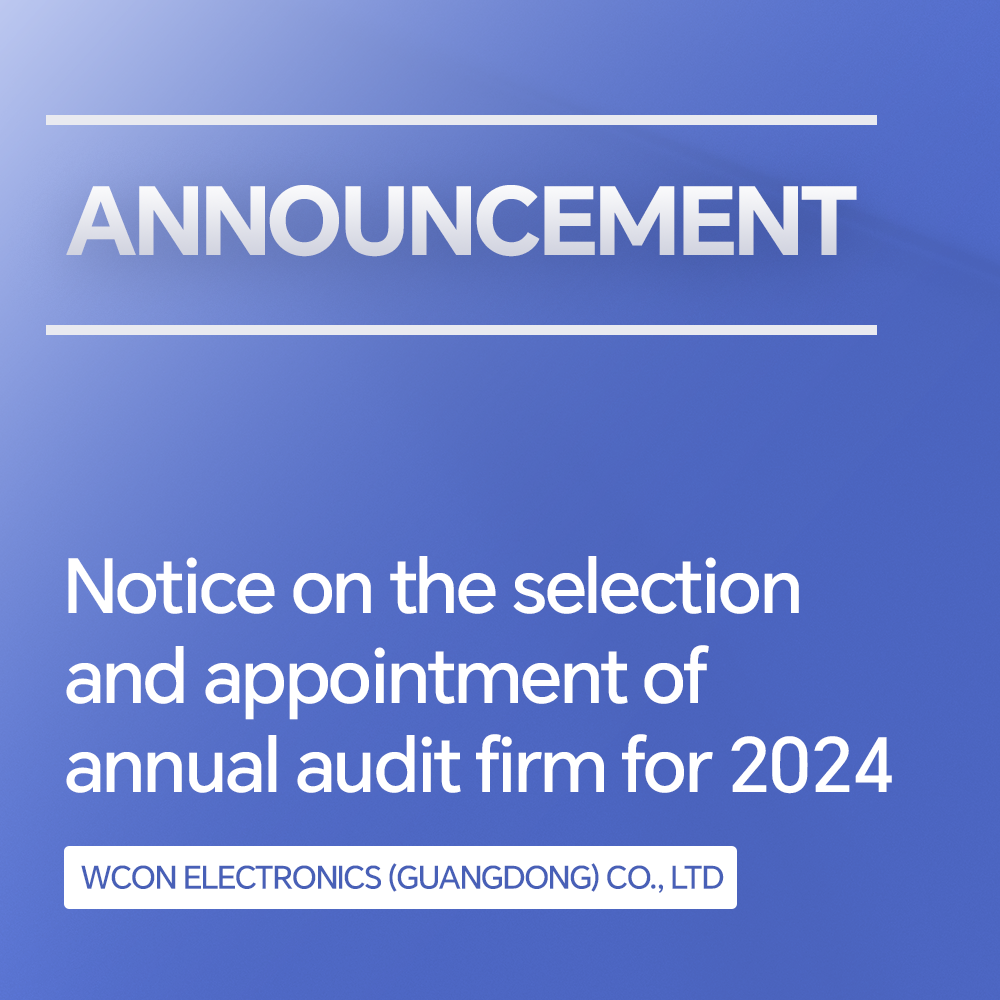 Notice on the Selection and Appointment of Annual Audit Firm for 2024