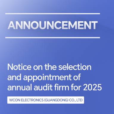 Notice on the Selection and Appointment of the Audit Firm for 2025